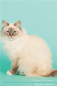 Birman Cat Affirmations Workbook Birman Cat Presents