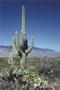 Desert Cactus Journal