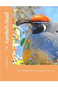 Gambel's Quail