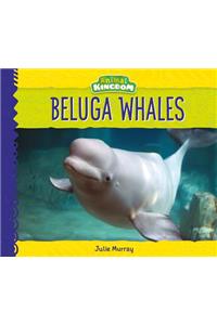 Beluga Whales