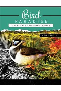 Bird Paradise Volume 2