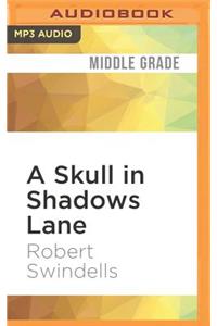 Skull in Shadows Lane