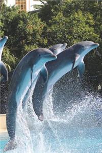Dancing Dolphins Journal