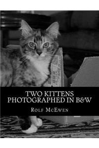 Two Kittens Photographed in B&W