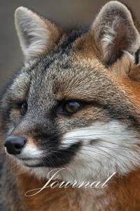 120 Page Fox Journal
