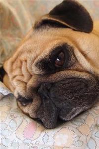 Morning Already? Sleepy Pug Puppy Dog Journal