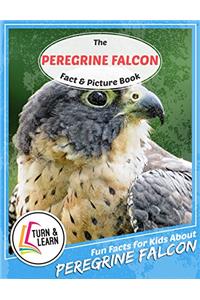The Peregrine Falcon Fact and Picture Book: Fun Facts for Kids About Peregrine Falcon (Turn and Learn)