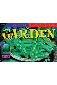 In the Garden