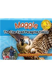 Maggie the One-Eyed Peregrine Falcon