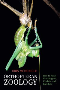 Orthopteran Zoology