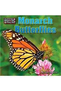 Monarch Butterflies