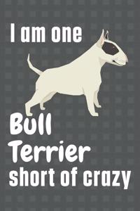 I am one Bull Terrier short of crazy