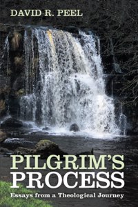 Pilgrim's Process