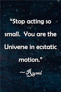 Stop acting so small. You are the Universe in ecstatic motion. Rumi Notebook