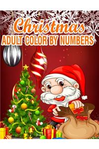 Christmas Adult Color By Numbers