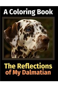 Reflections of My Dalmatian