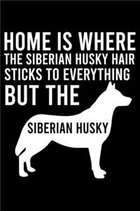 Home Is Where The Siberian Husky Hair Sticks To Everything But The Siberian Husky