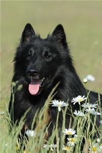 Belgian Shepherd Dog Groenendael Stopping to Smell the Flowers Journal
