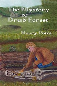 Mystery of Druid Forest