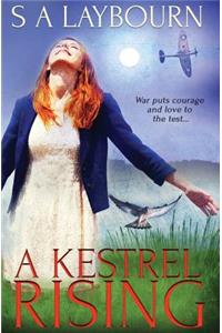A Kestrel Rising