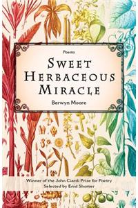 Sweet Herbaceous Miracle