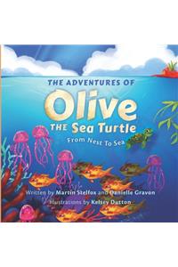 The Adventures of Olive the Sea Turtle