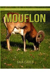 Mouflon