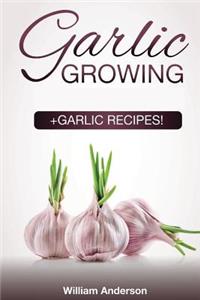 Garlic Growing