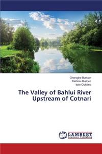 Valley of Bahlui River Upstream of Cotnari