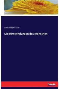 Die Hirnwindungen des Menschen