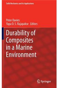 Durability of Composites in a Marine Environment