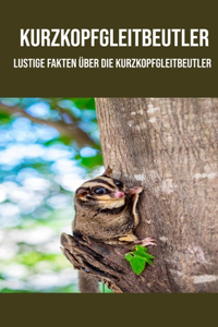 Kurzkopfgleitbeutler