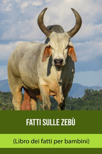Fatti sulle Zebù (Libro dei fatti per bambini)