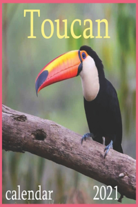 2021 toucan