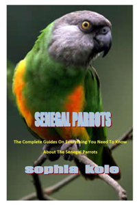 Senegal Parrots