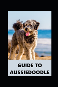 Guide to Aussiedoodle