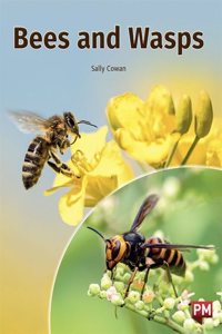 BEES AND WASPS