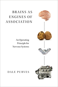 Brains as Engines of Association C: An Operating Principle for Nervous Systems