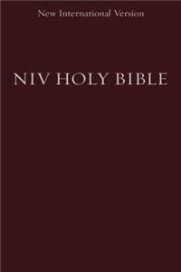 NIV, Holy Bible, Compact, Paperback, Burgundy