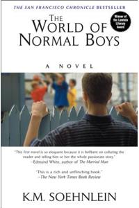 The World of Normal Boys