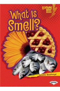 What Is Smell?