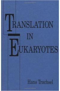 Translation in Eukaryotes