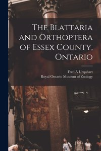 Blattaria and Orthoptera of Essex County, Ontario