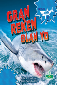 Gran Reken Blan Yo (Great White Sharks)