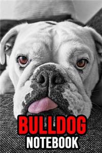 Bulldog Notebook