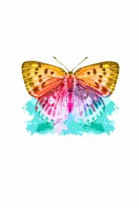 Butterfly Notebook
