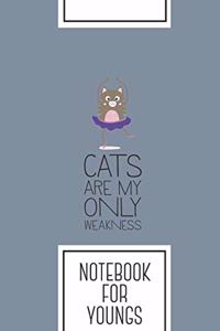 Notebook for Youngs