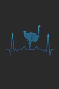 Ostrich Heartbeat