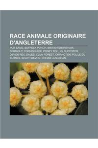 Race Animale Originaire D'Angleterre
