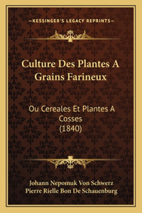 Culture Des Plantes A Grains Farineux